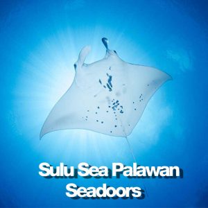 MER DE SULU PALAWAN START 11 J july 20 2027